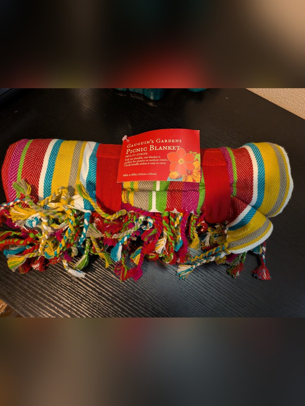 NWT World Market Picnic Blanket